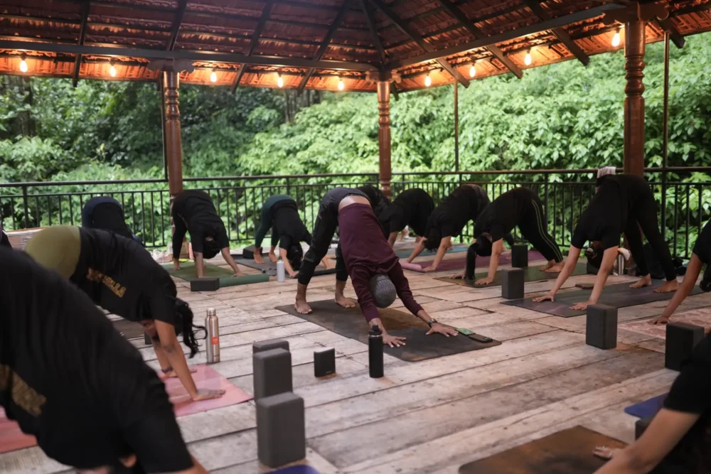 Best Yoga Classes In Chennai